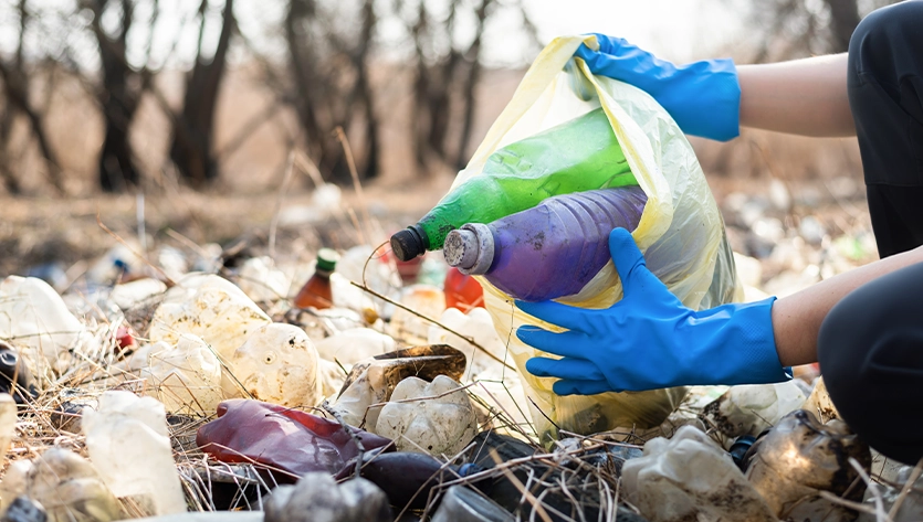 Comprehensive Reporting